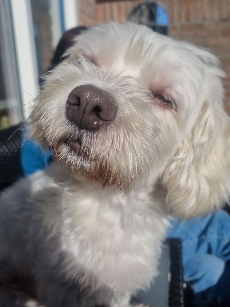 Luna