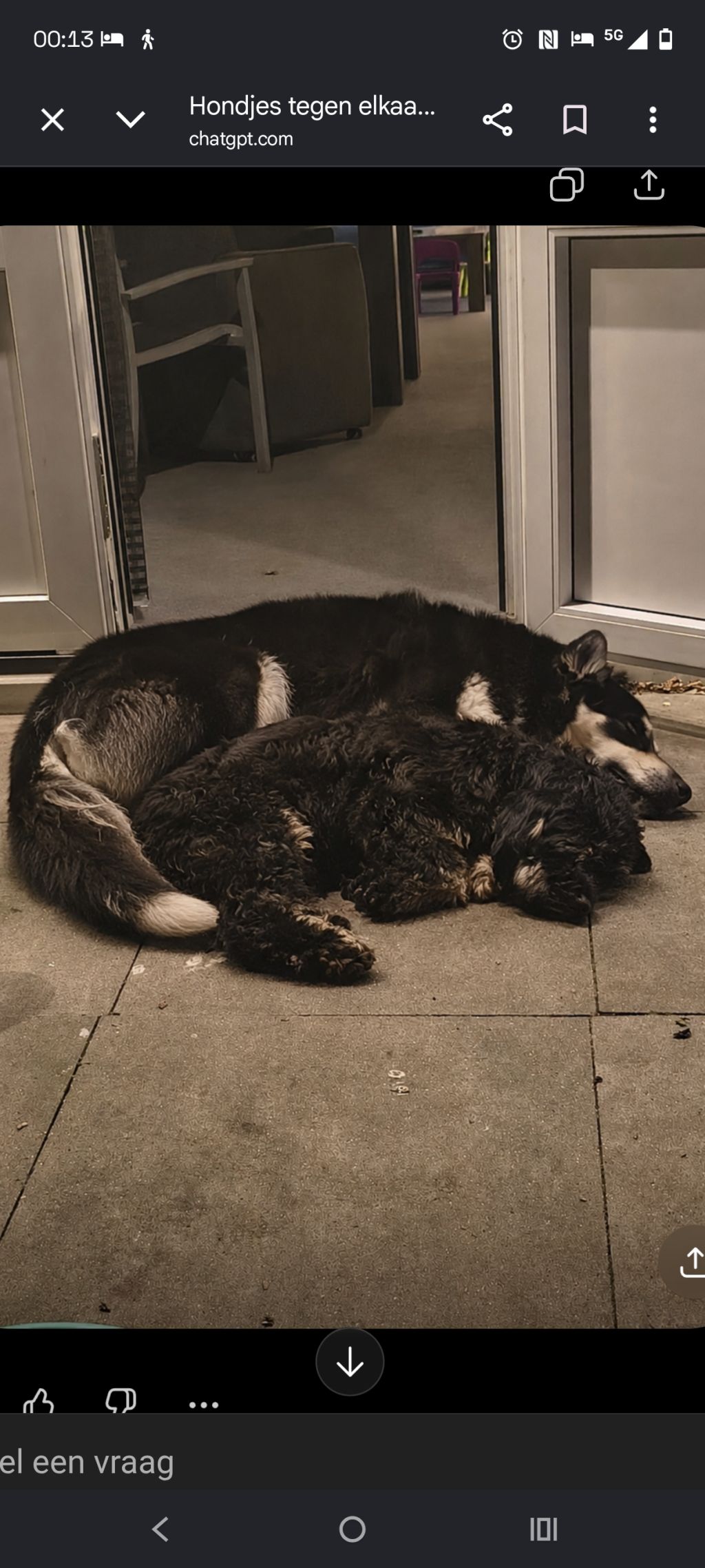 Jax en Milly