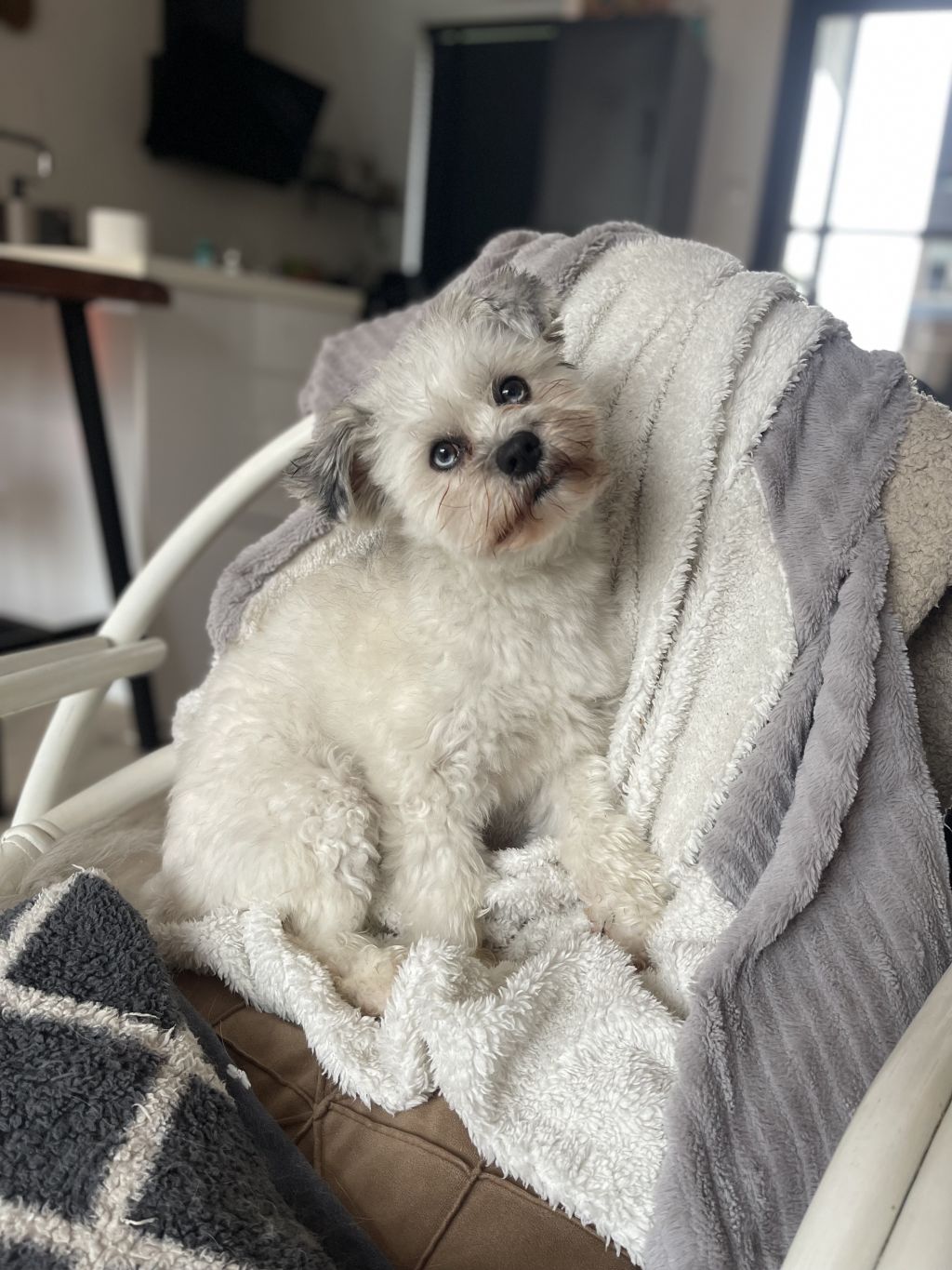 Bowie