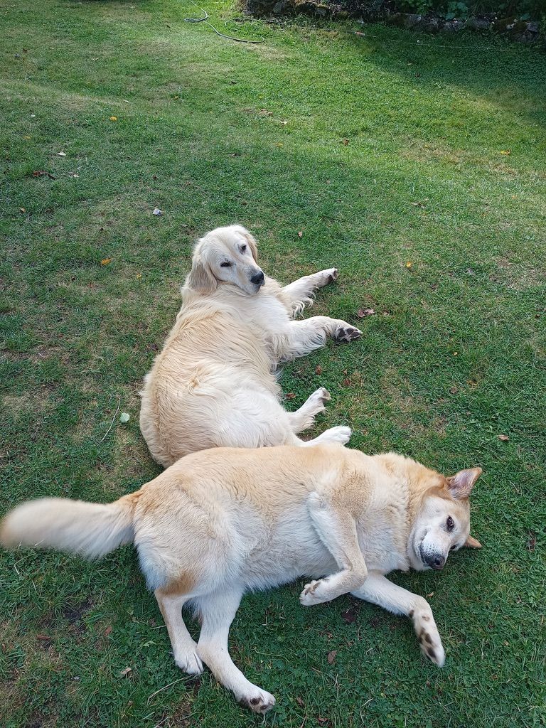 Olaf en Alma