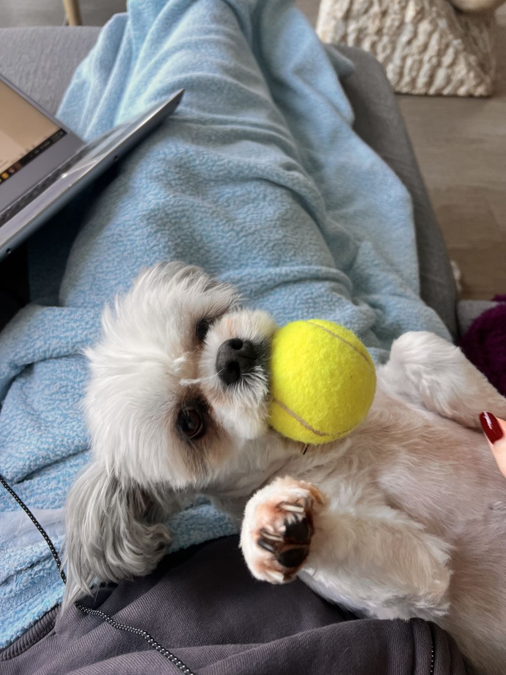 Ylva & Balou