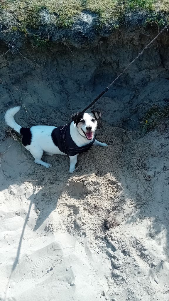 Max