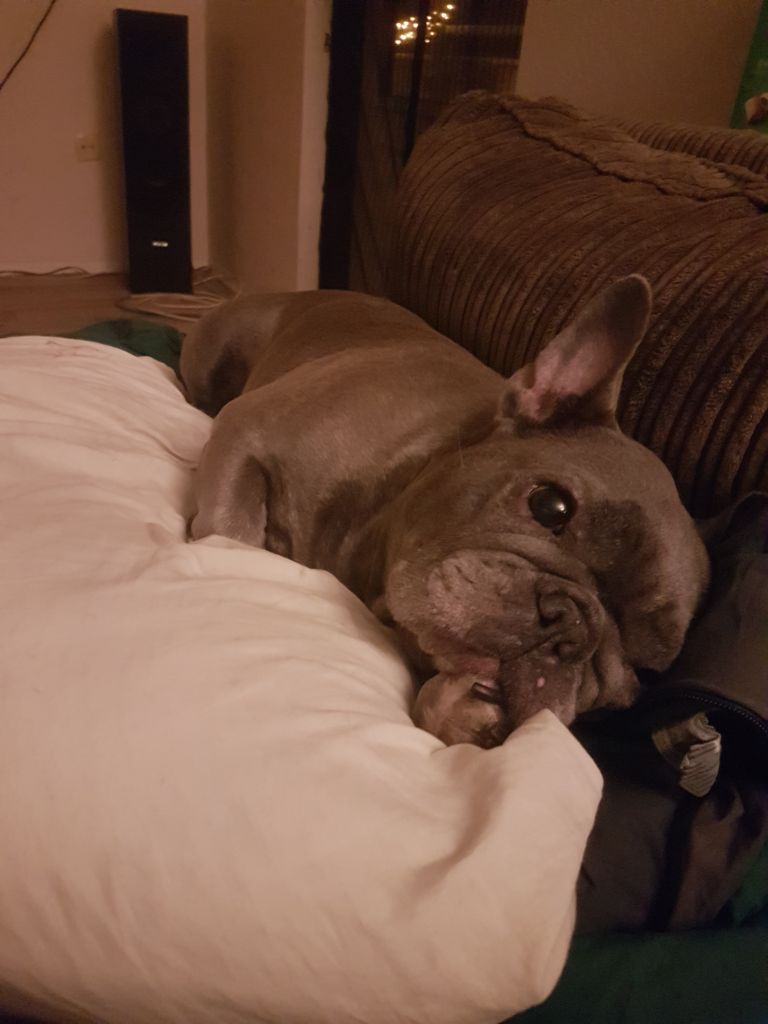 Cooper