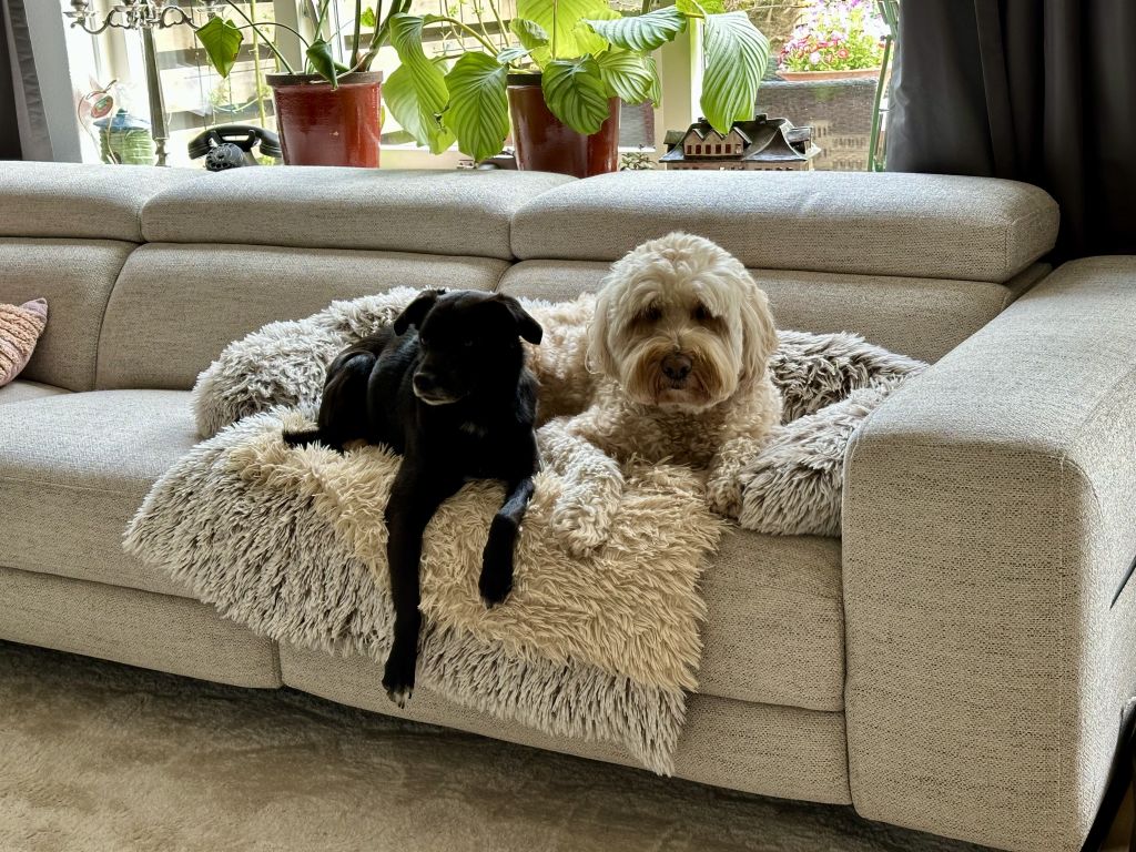 Ollie en Mike