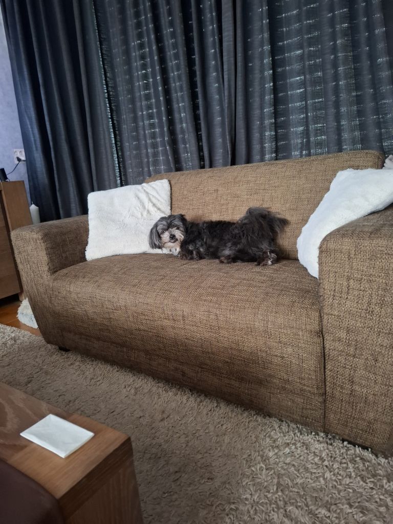 Kiki