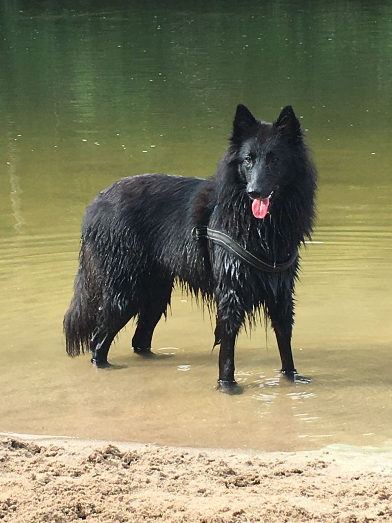 Ayla