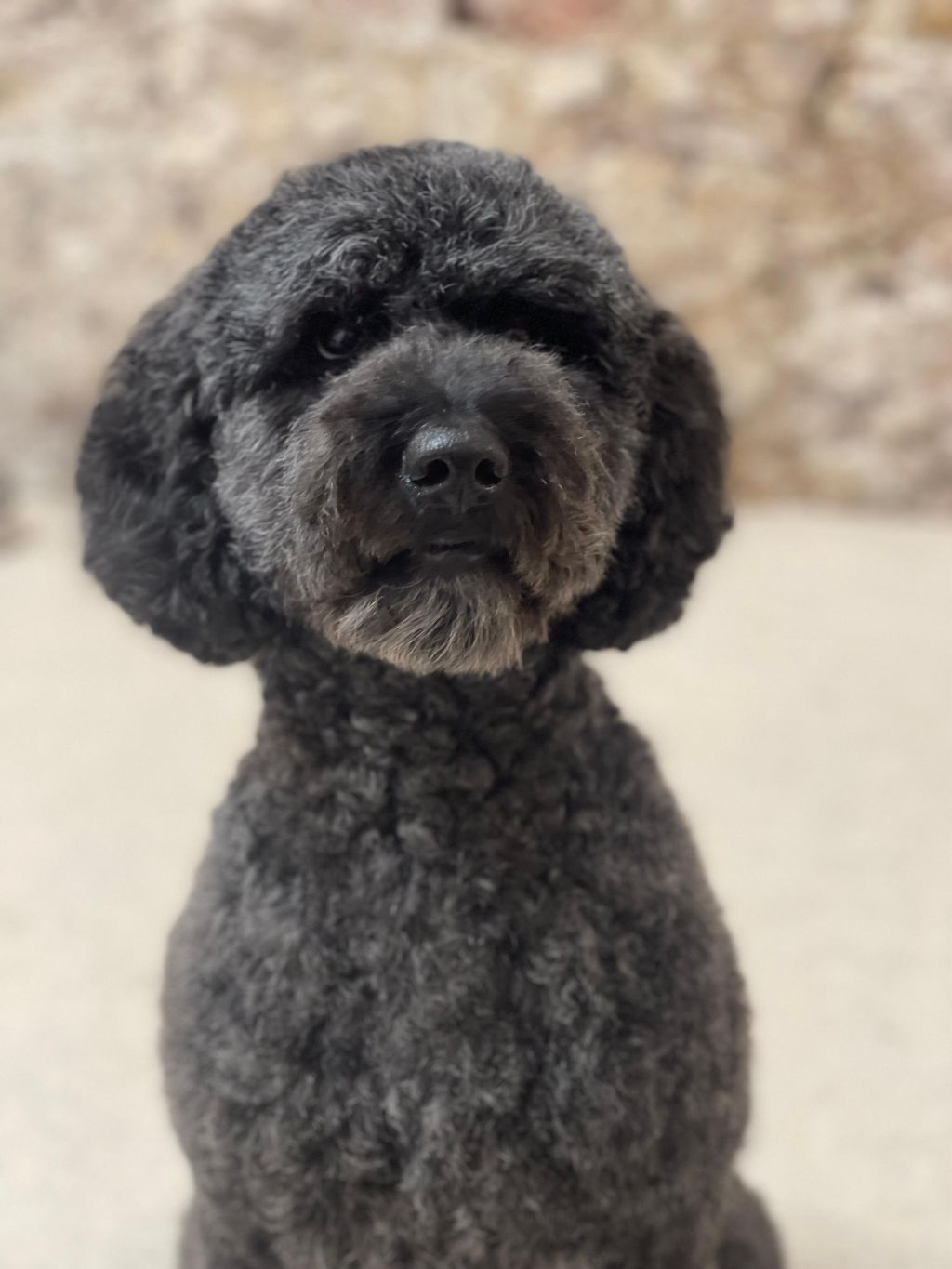 Pip