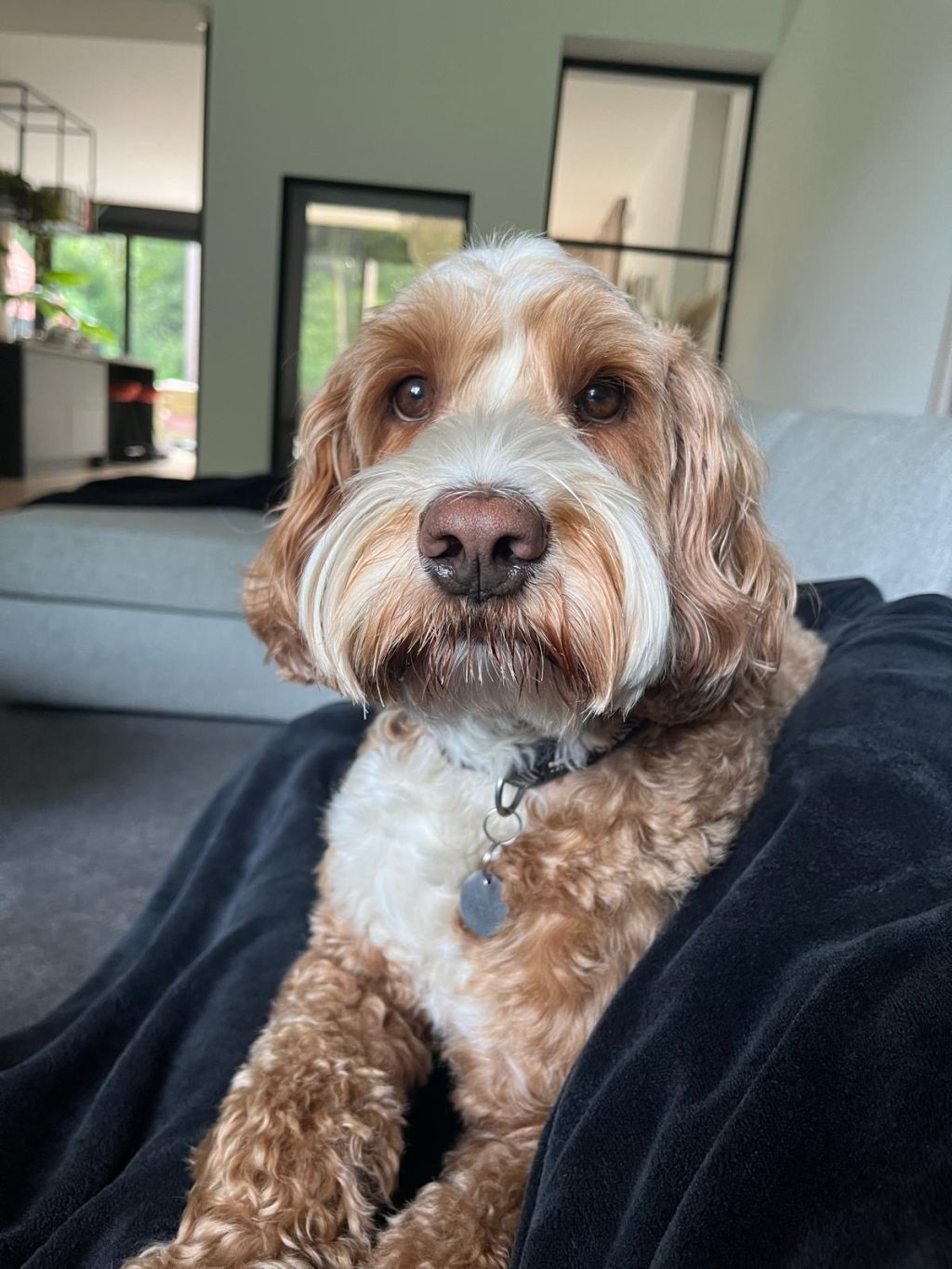 Sam