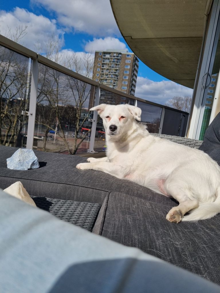 Sam