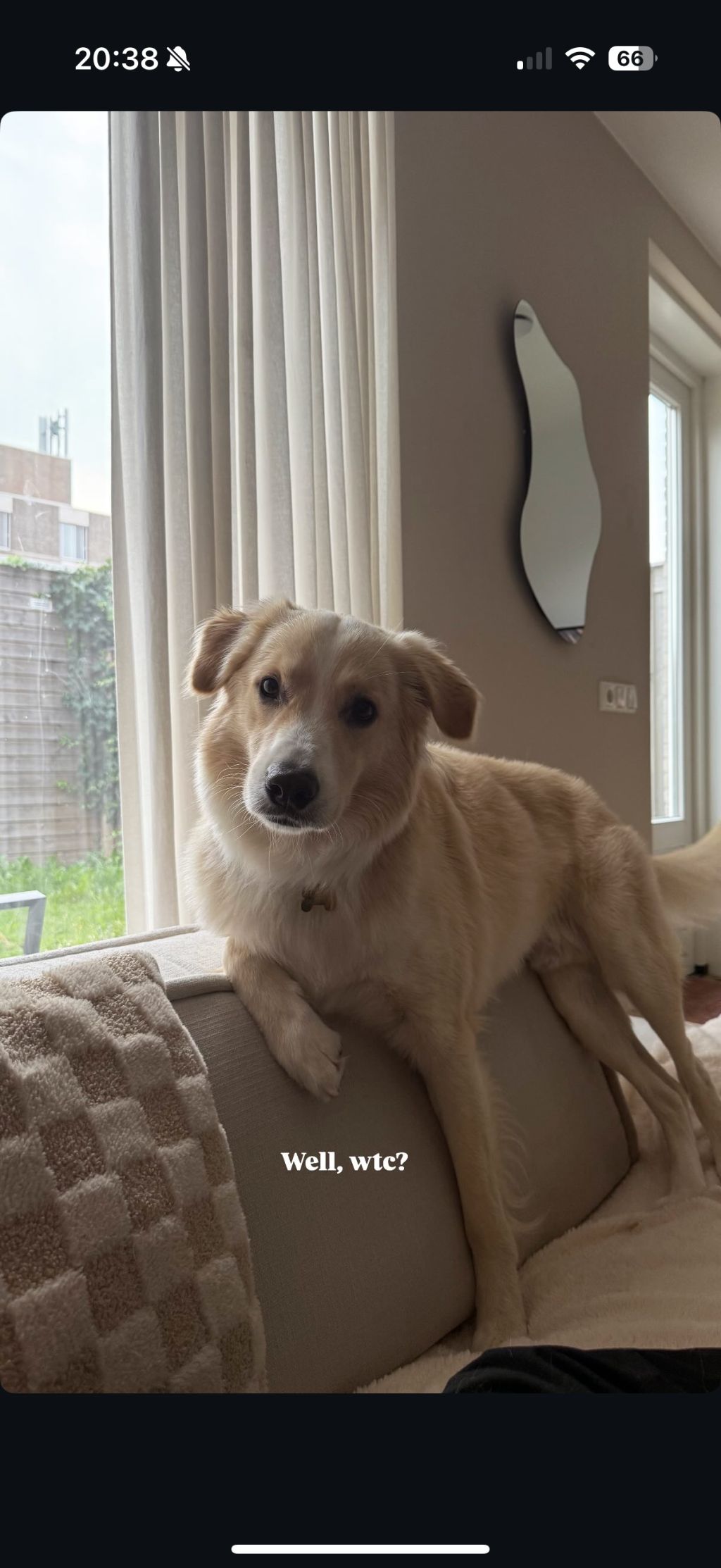 Ralphie