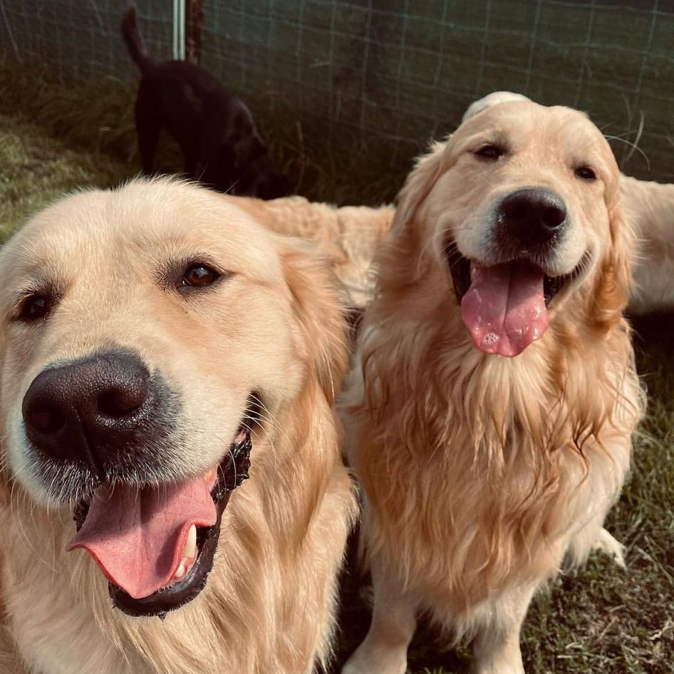 Baron & James
