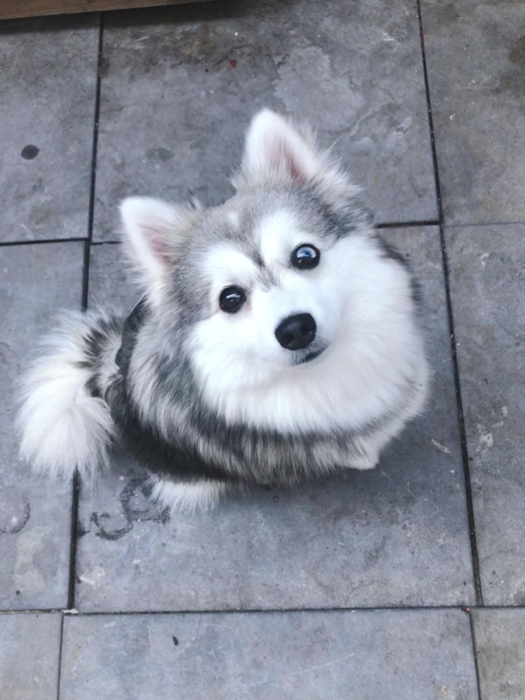 Lumi