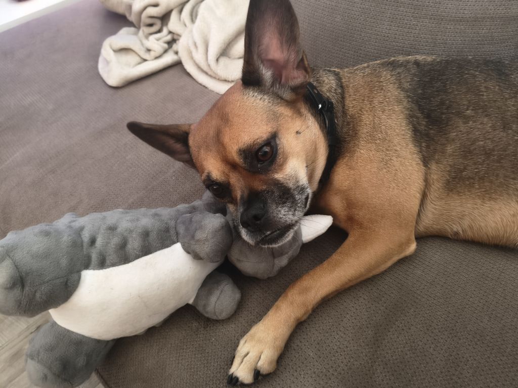 Roxy
