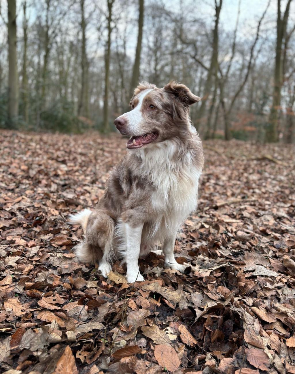 Sjokkie & Evi