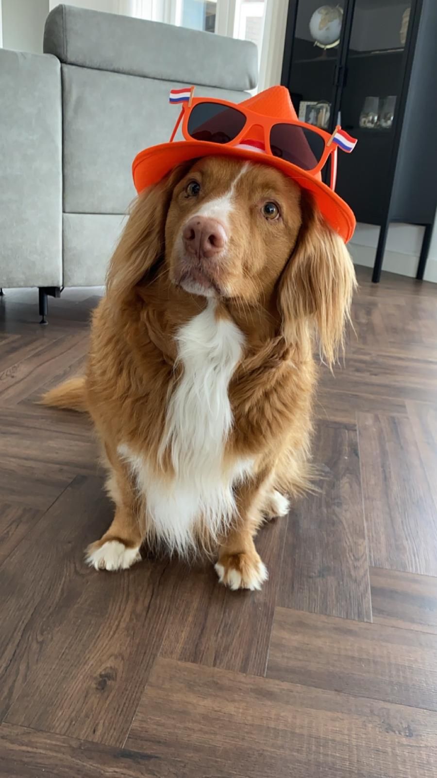 Pip