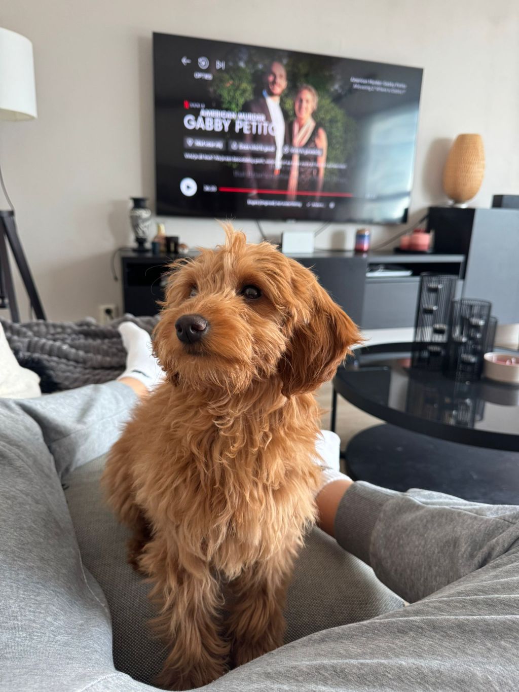 Bailey