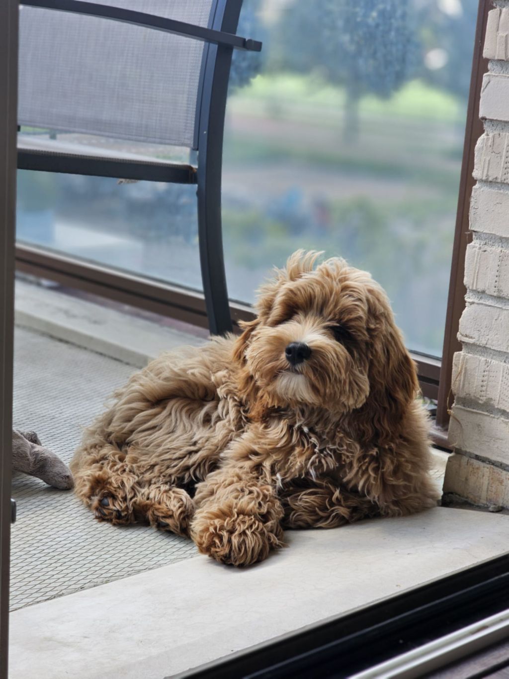 Marley