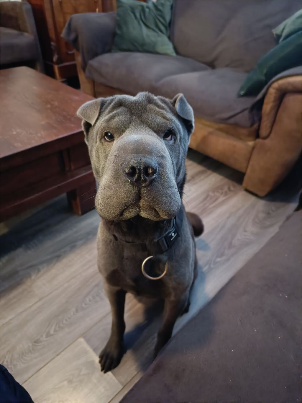 Bo