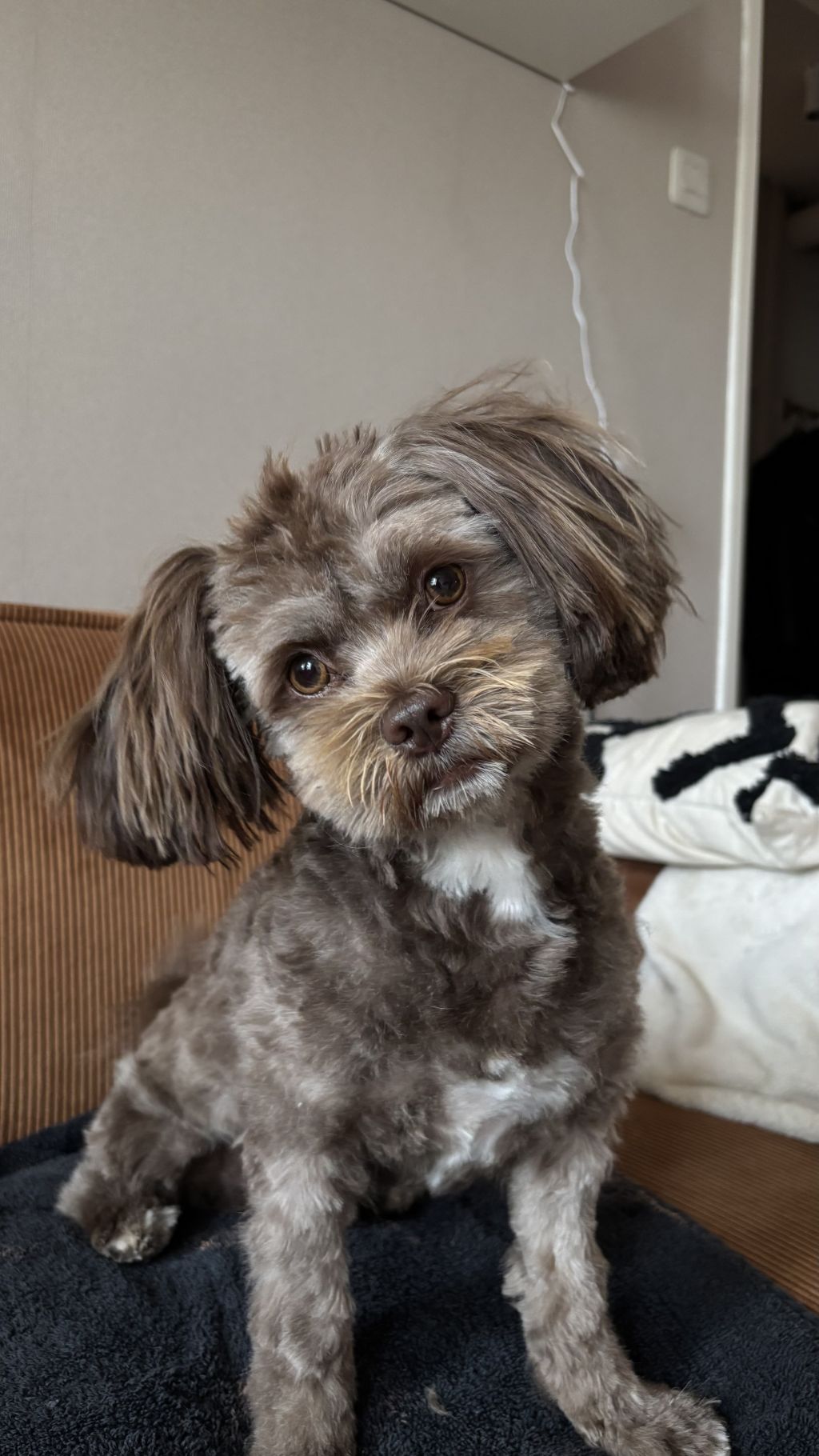 Kosmo