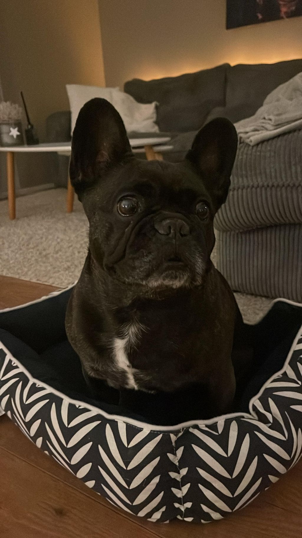 Puck
