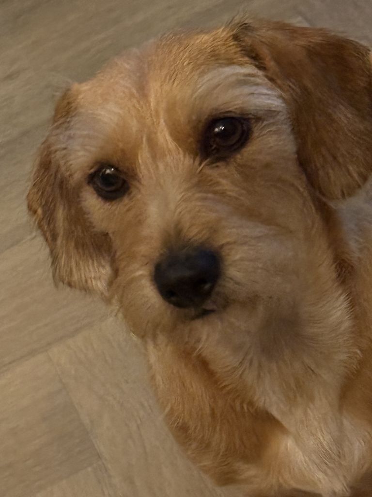 Nala en Bo