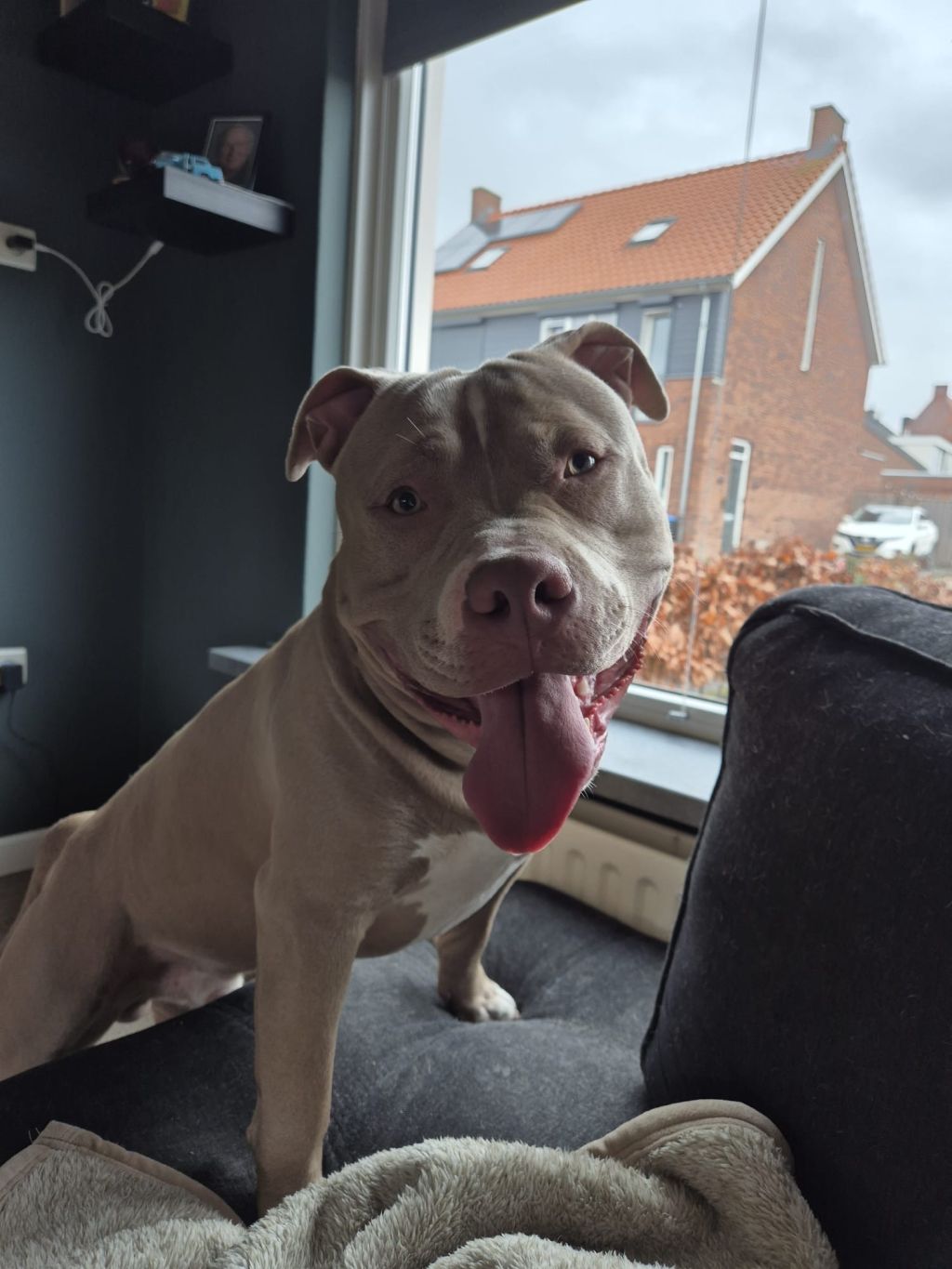 Sammie