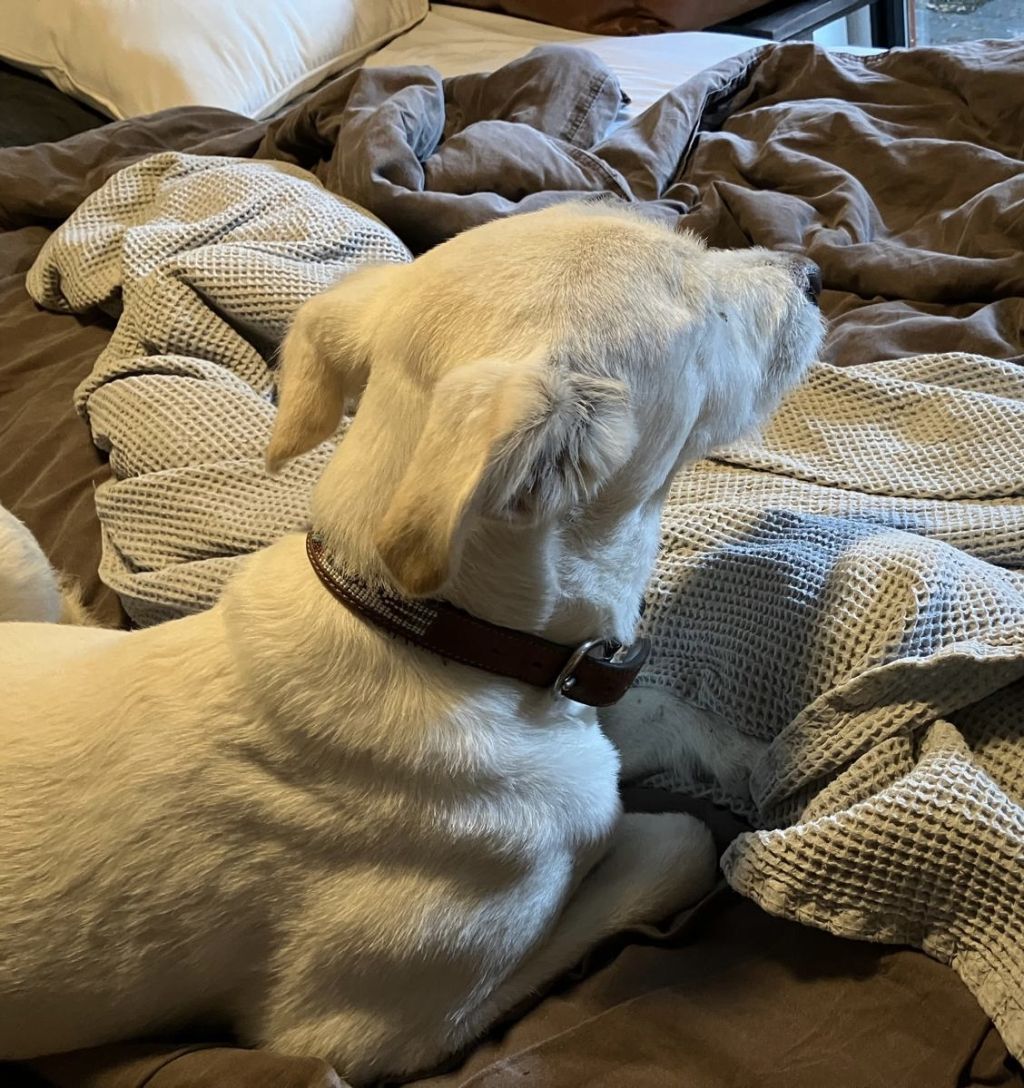 Lena
