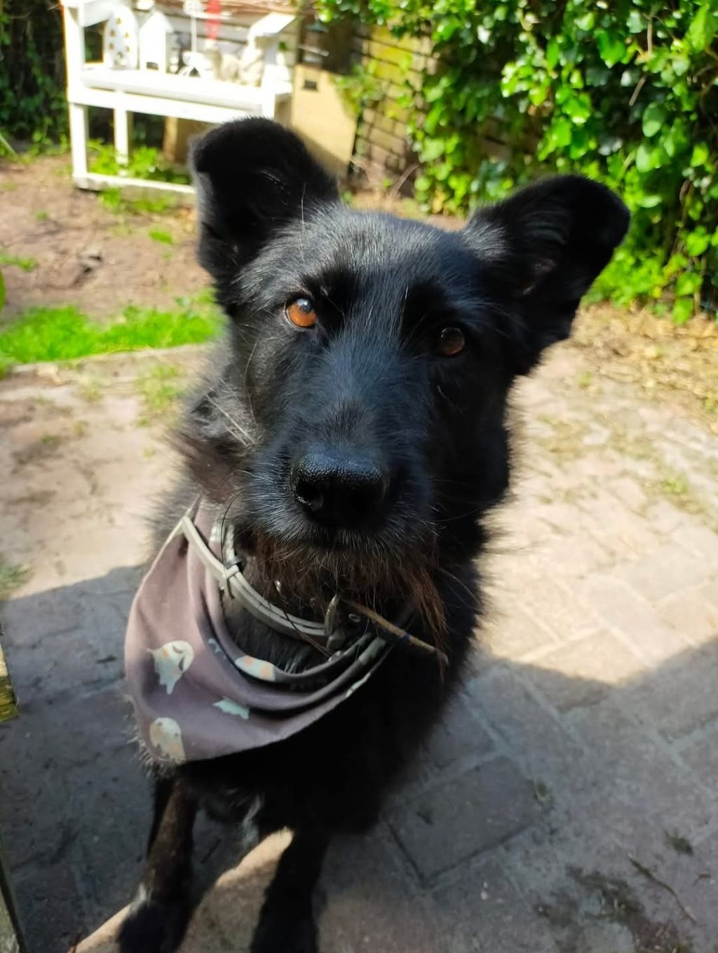 Jukka
