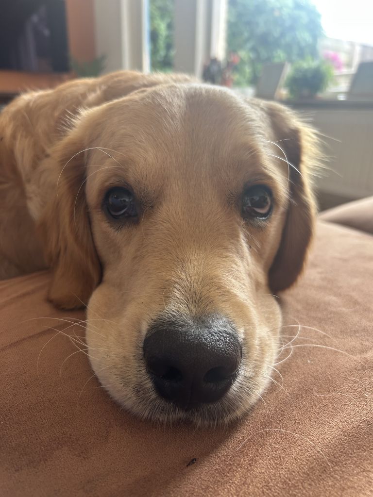 Charlie