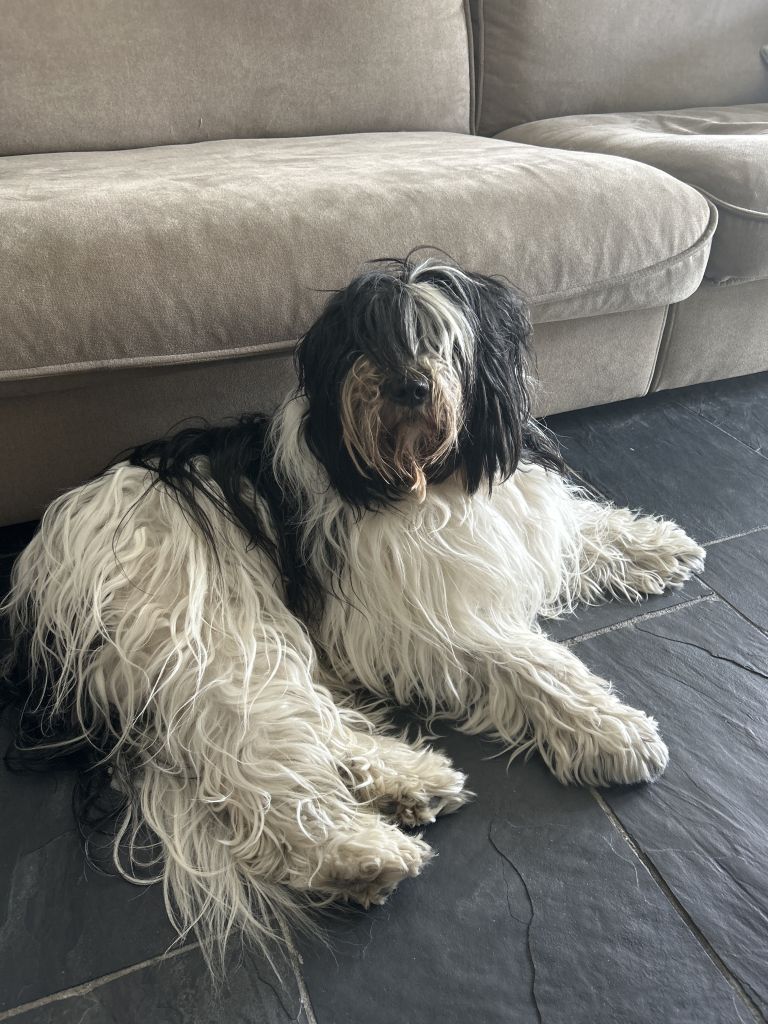 Lola