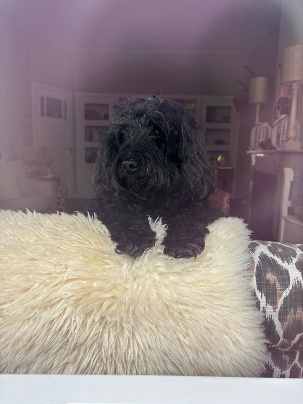 Charlie
