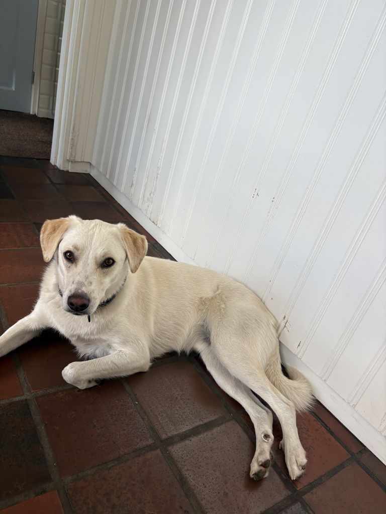 Olaf en Belle