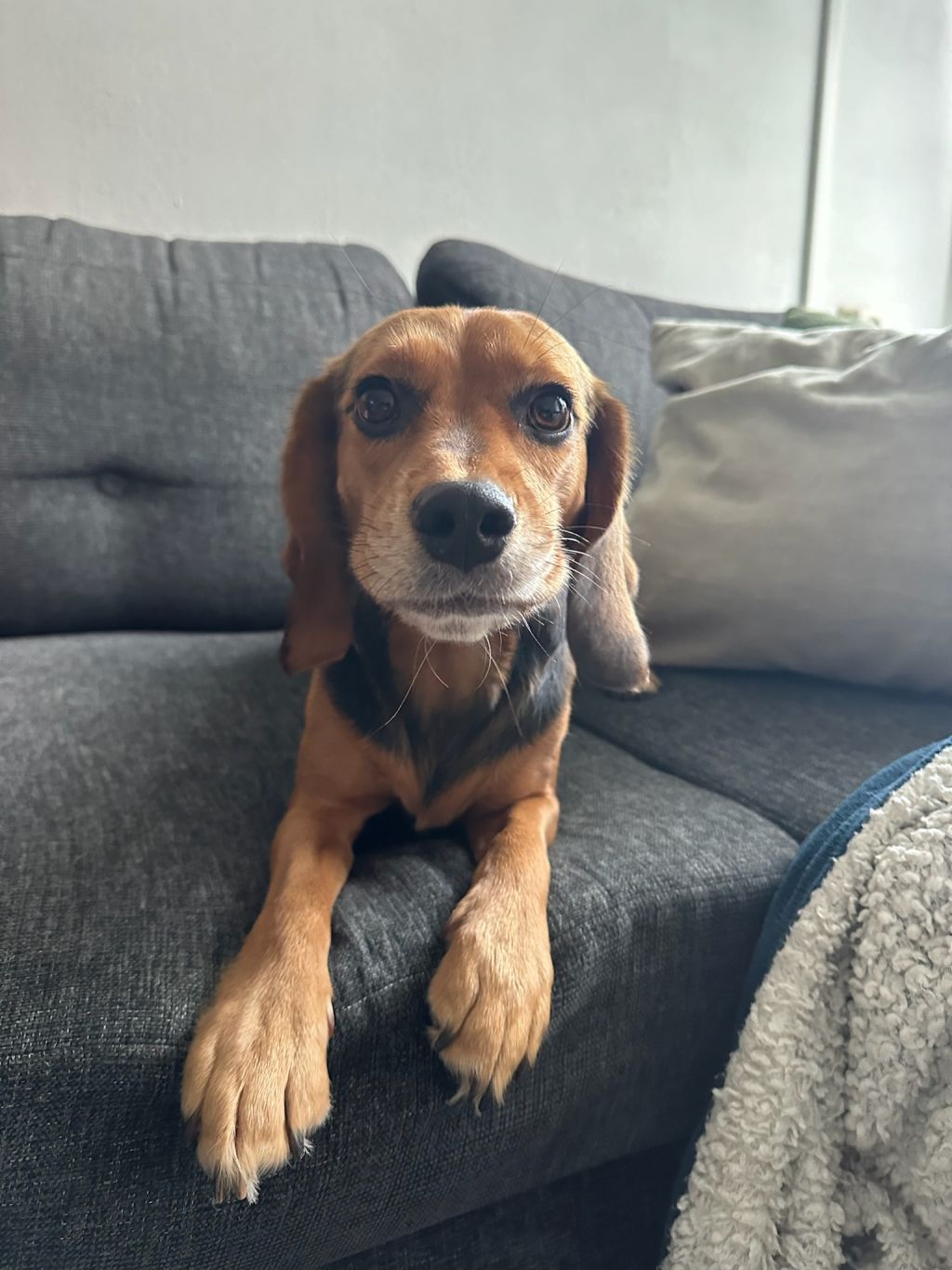 Max