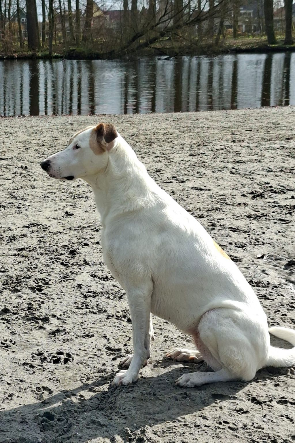 Kalinka