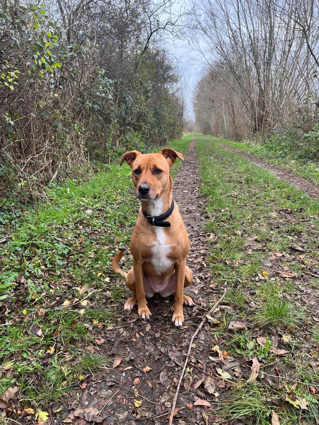 Lola