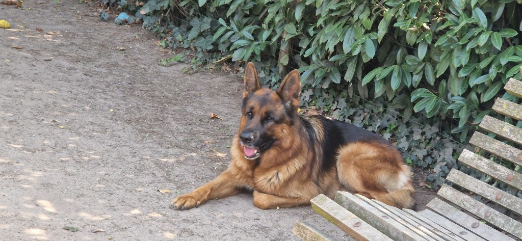 Max