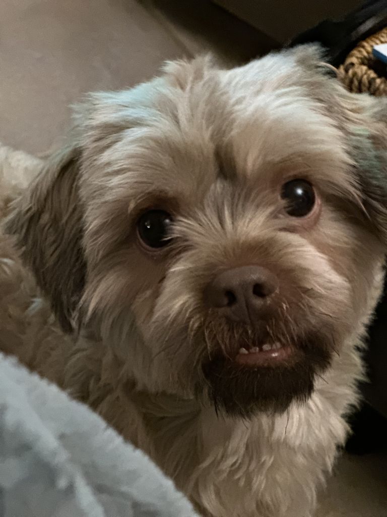 Caesar en Bouvy [Boefie]