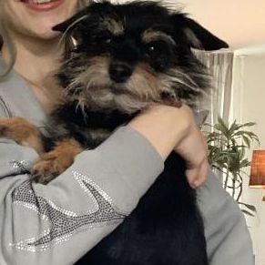 Daisy