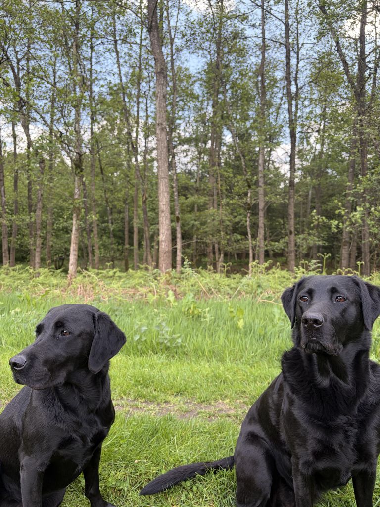 Fenne en Kiek