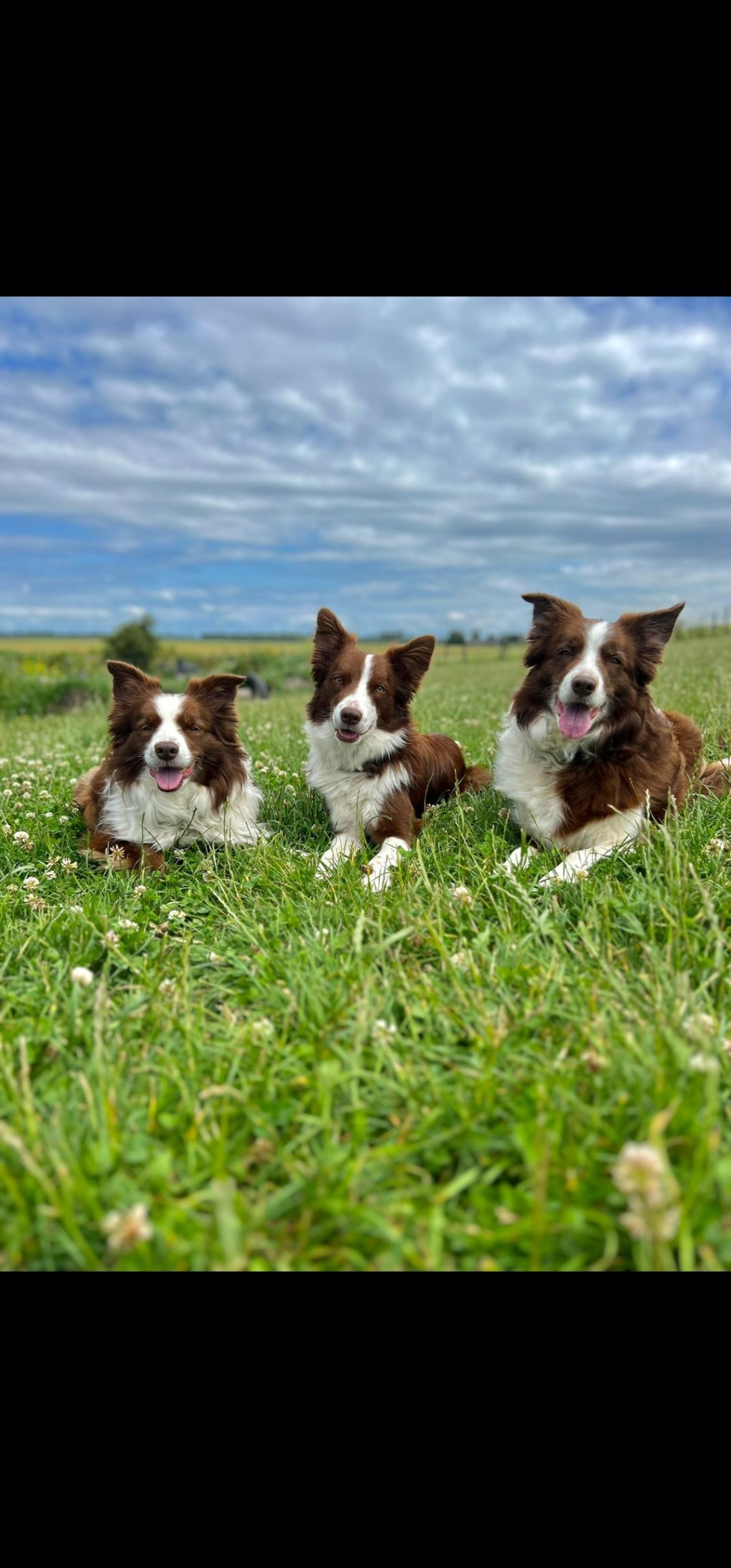 Jessy, Jamy en Juicy