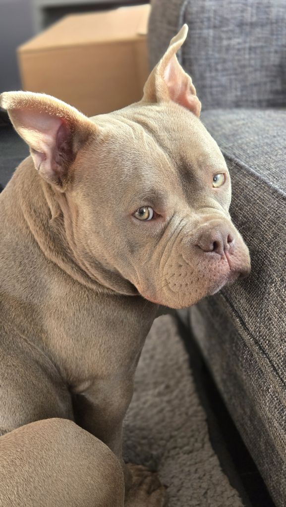 Roxy
