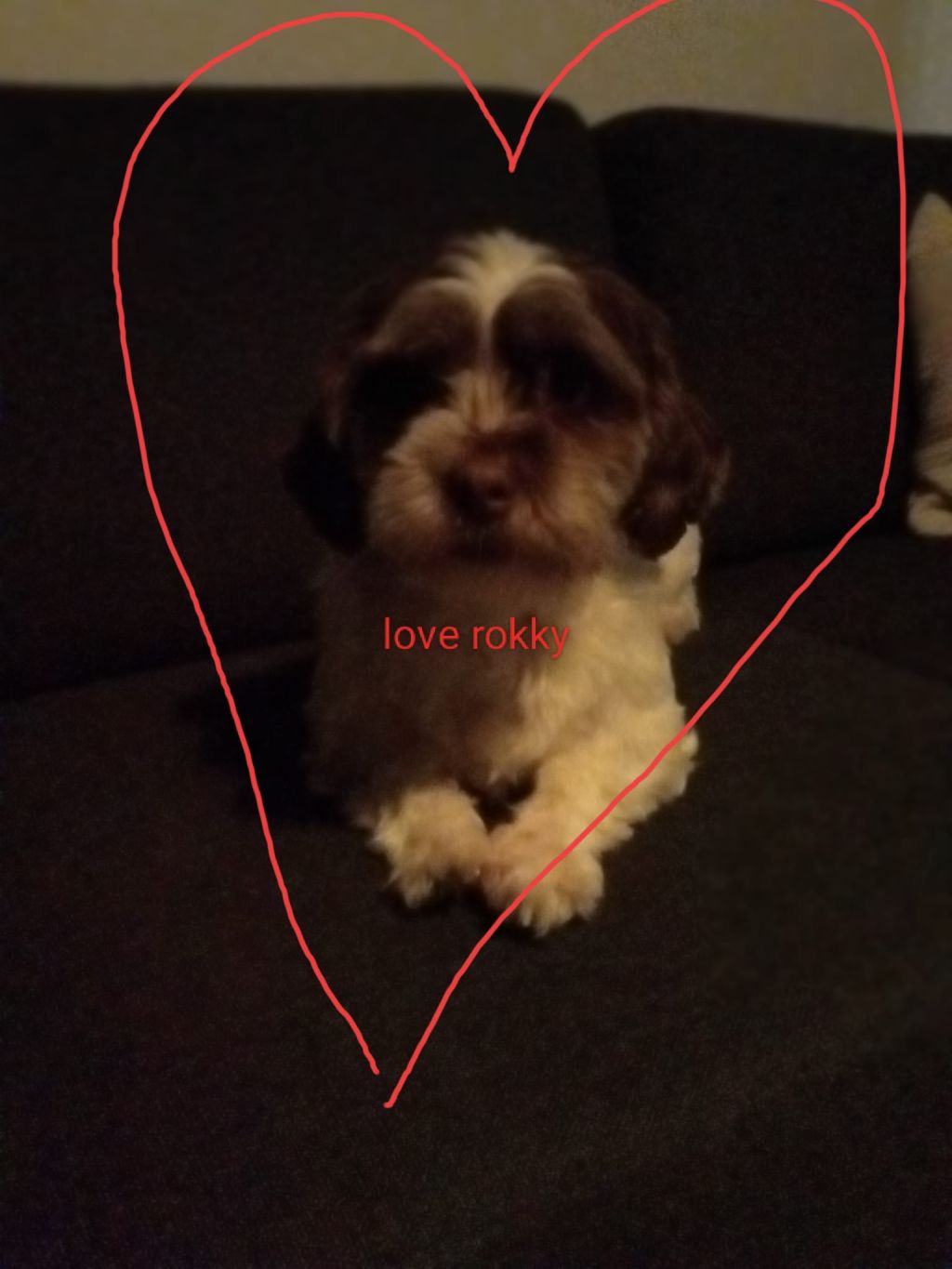 Rocky