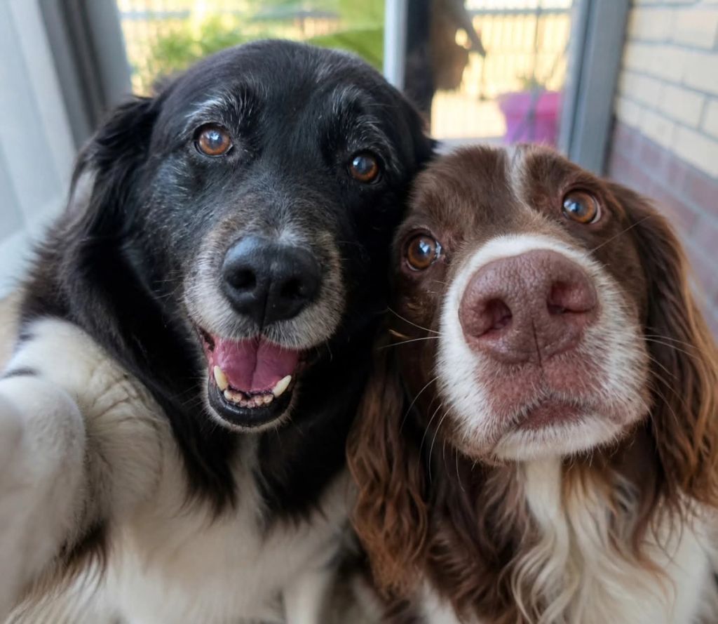 Jelle & Mees