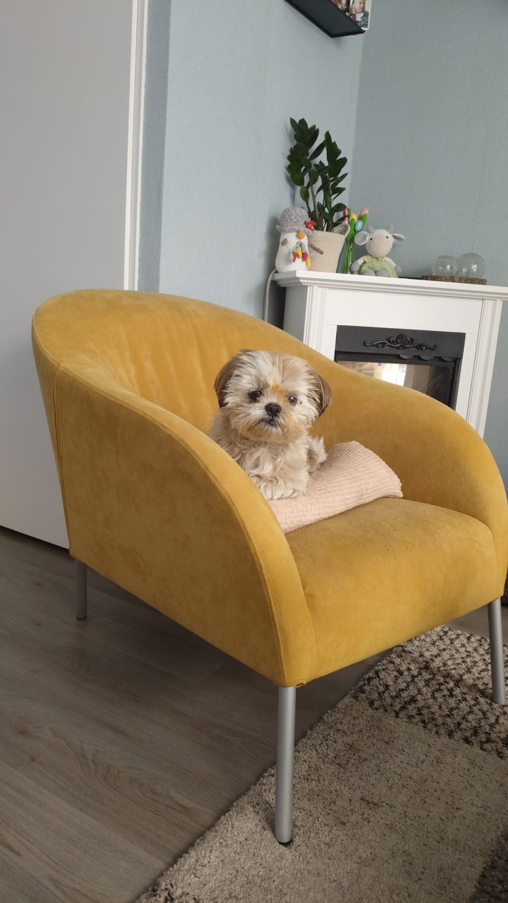 Bert