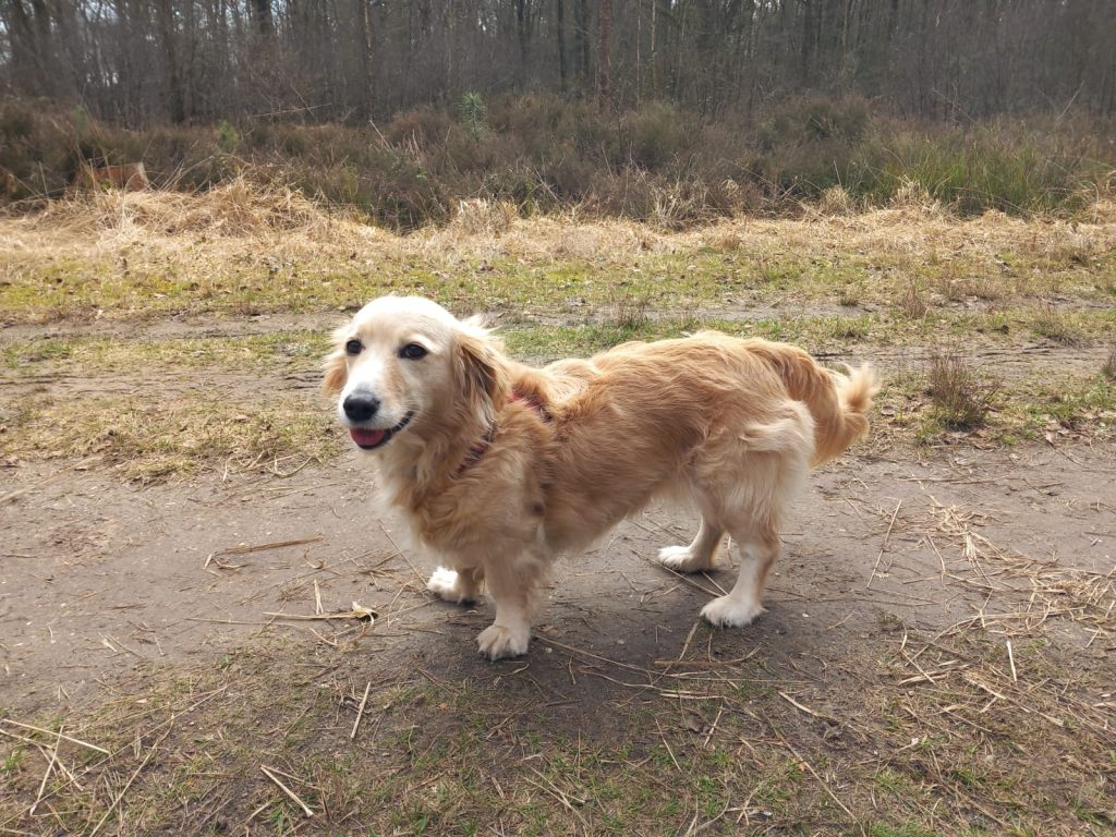 Maggie