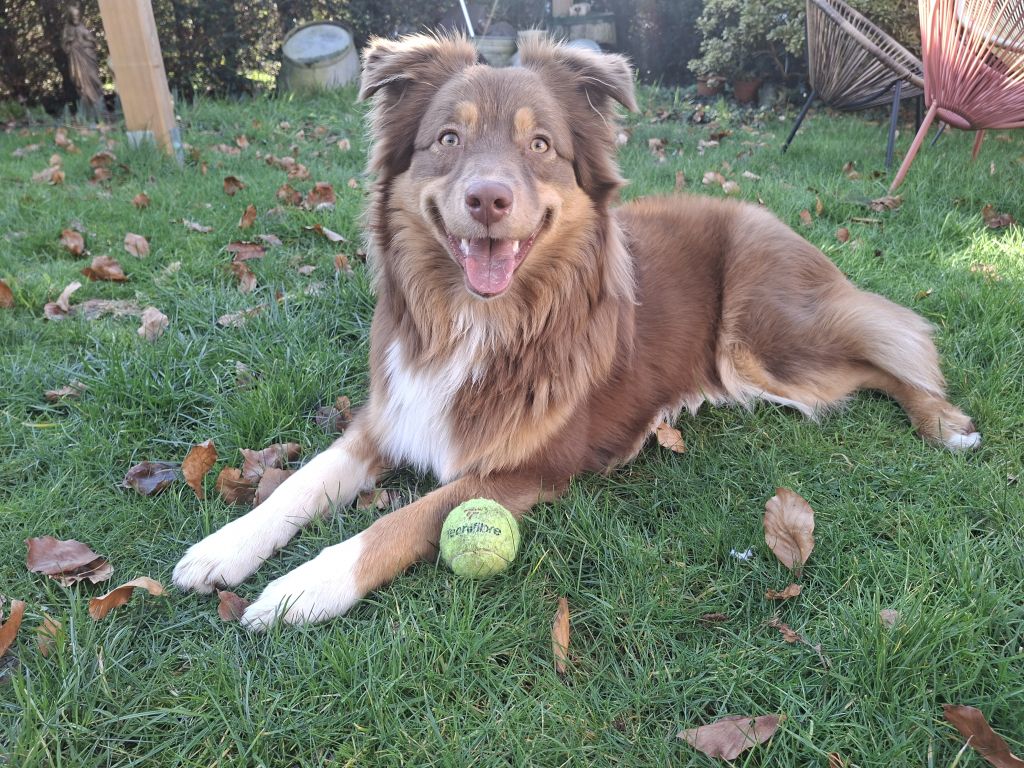 Ellie