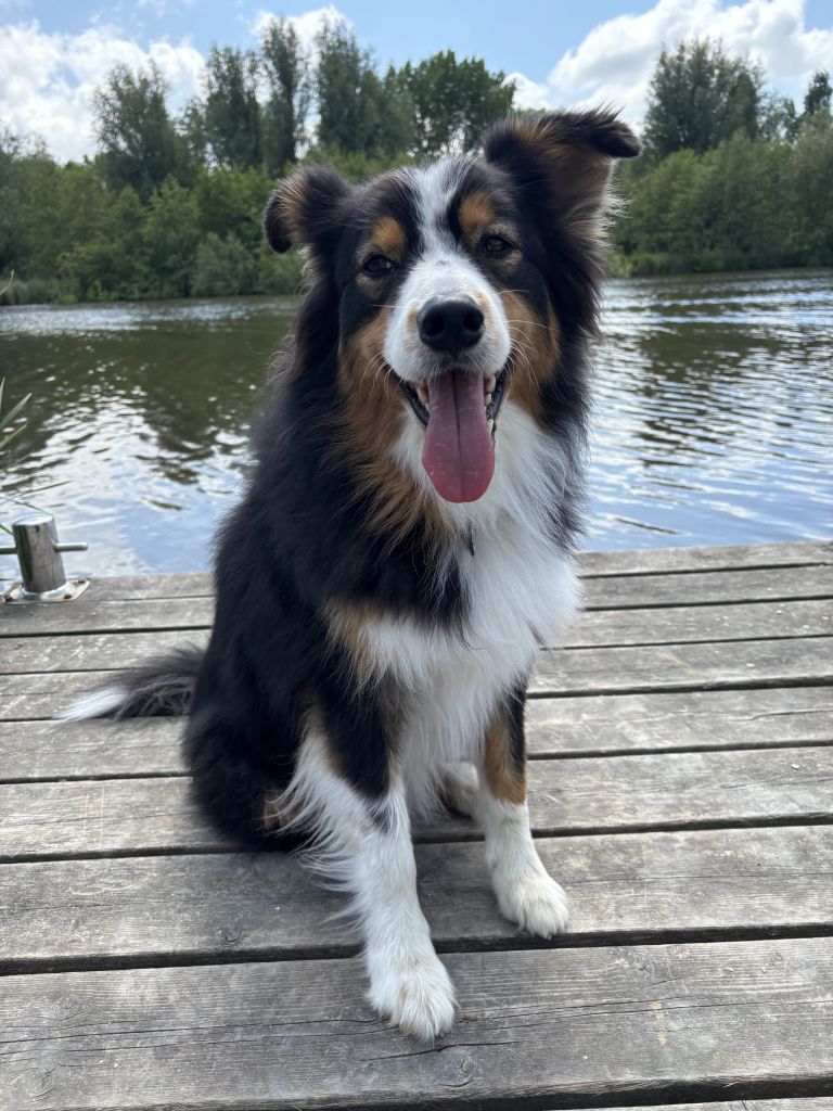 Max