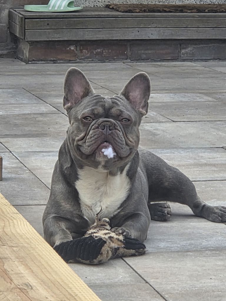 Charlie