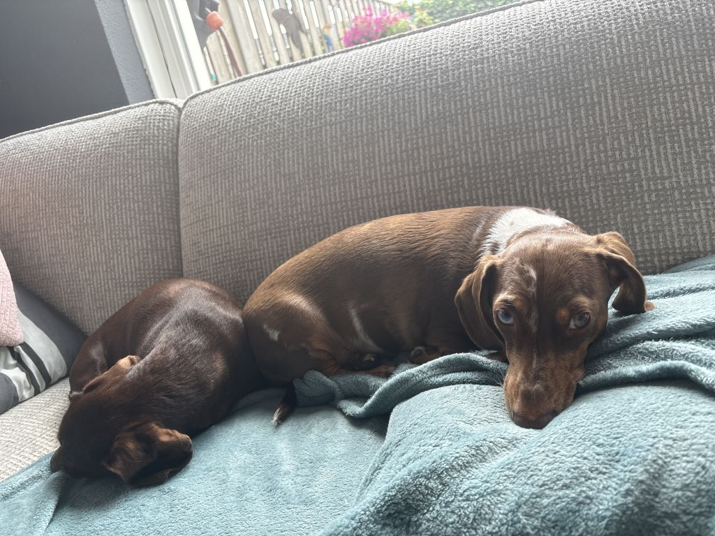 Lotje &Luna