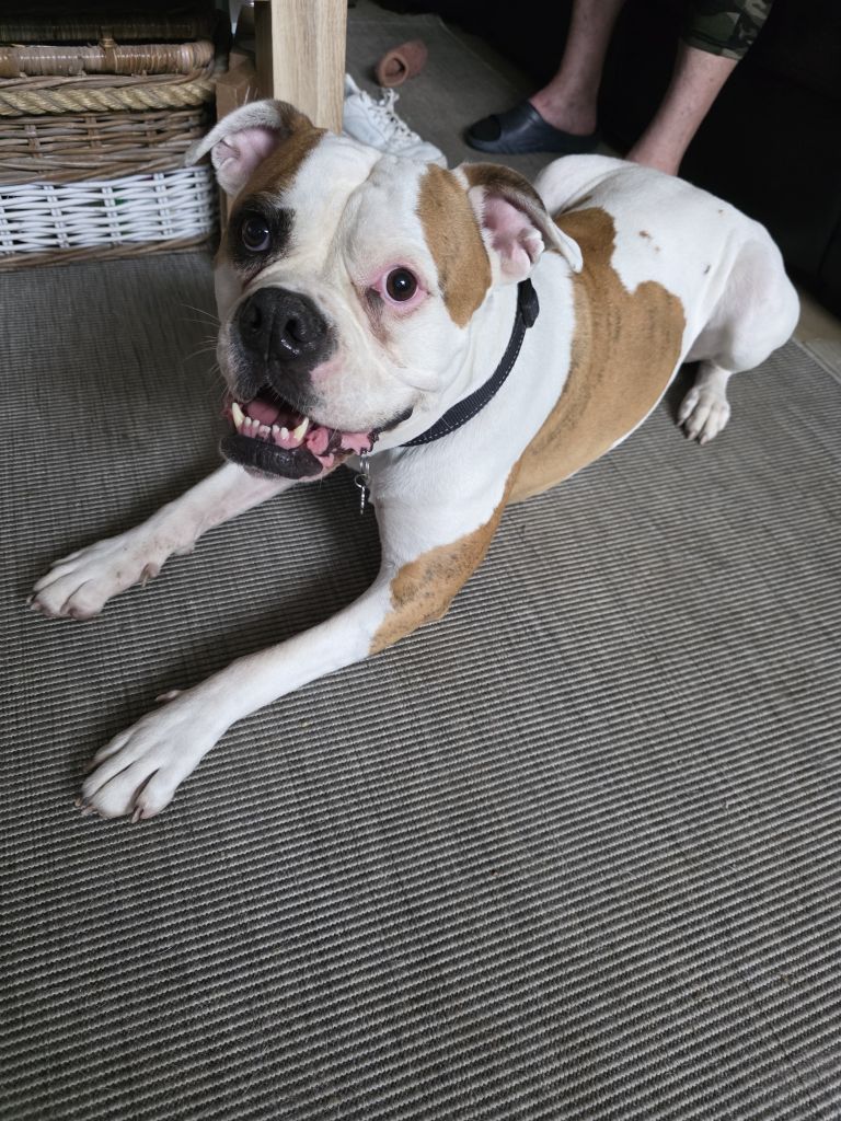 Nala